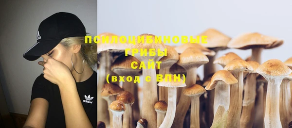 PSILOCYBIN Елабуга